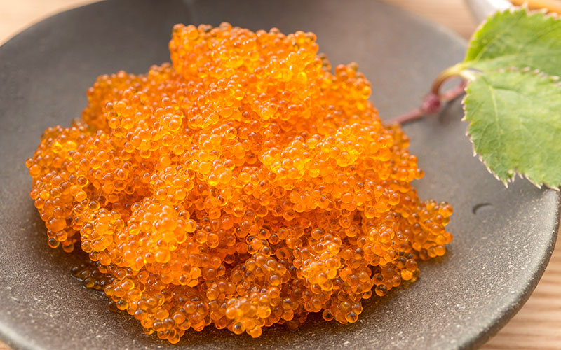flying fish roe