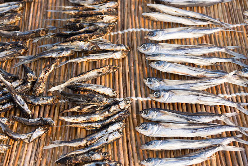 dried grill flying fish