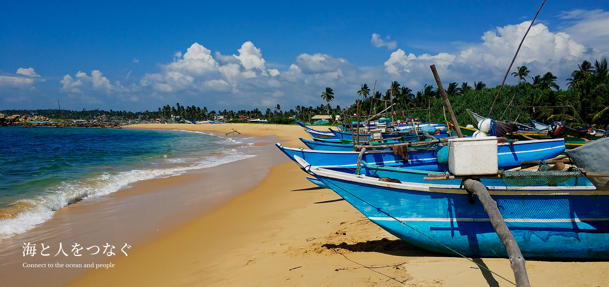 印刷用メイン画像